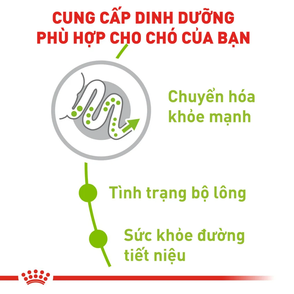 Thức Ăn Hạt Cho Chó Xsmall Adult