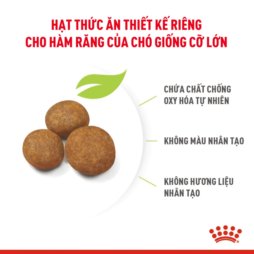 Thức Ăn Hạt Cho Chó Maxi Puppy