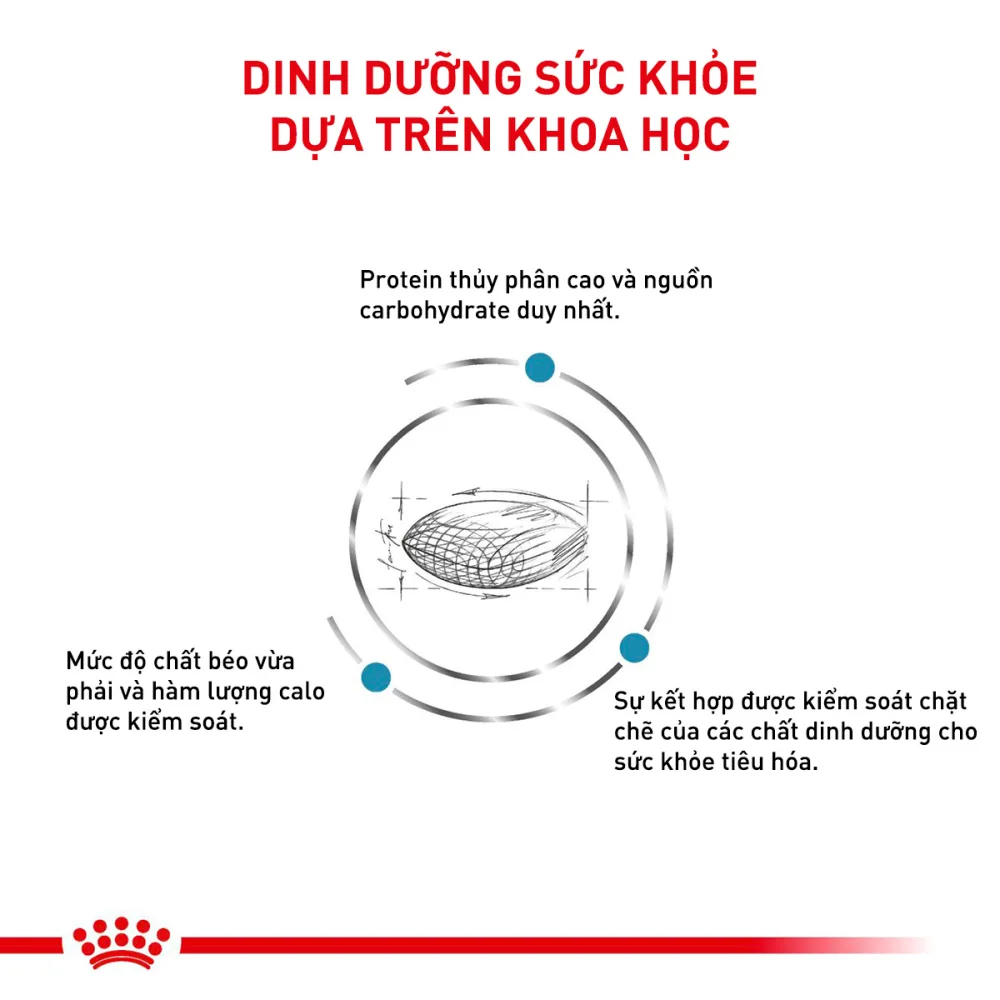 Thức Ăn Hạt Cho Chó Dị Ứng Royal Canin Hypoallergenic