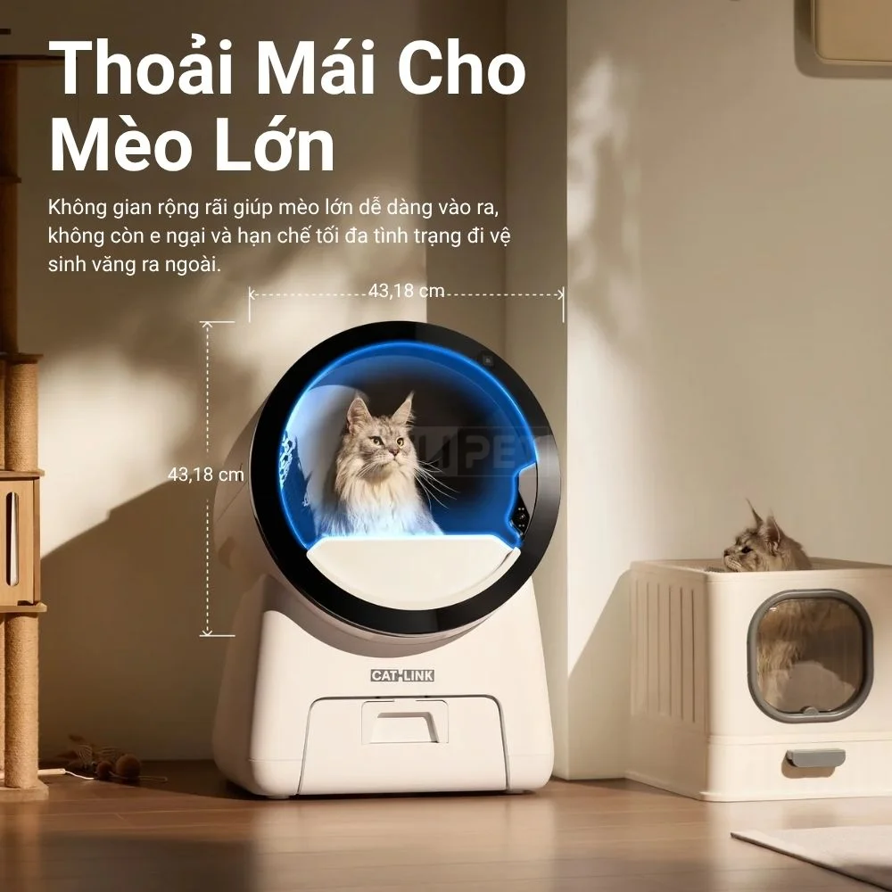 Máy vệ sinh cho mèo Catlink Scoop Robot Pro