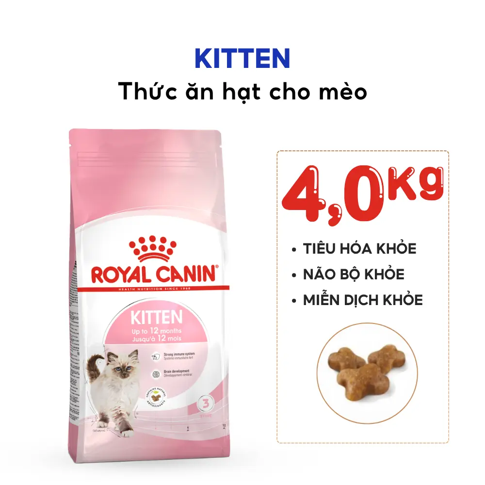 Thức Ăn Hạt Cho Mèo Con Royal Canin Kitten