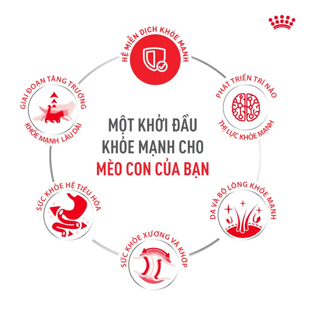 Thức Ăn Hạt Cho Mèo Con Royal Canin Kitten