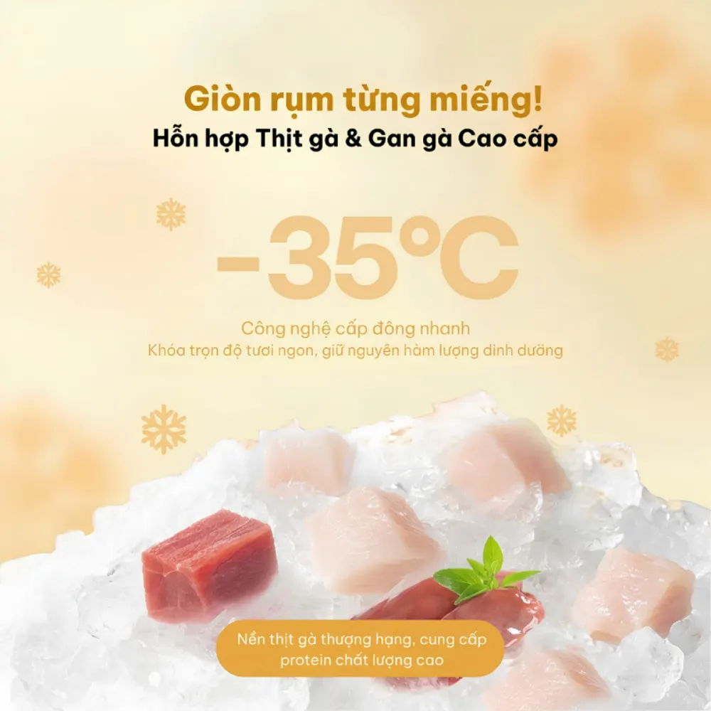 Snack cho thú cưng hỗ trợ da lông khỏe mượt Dr.Vet