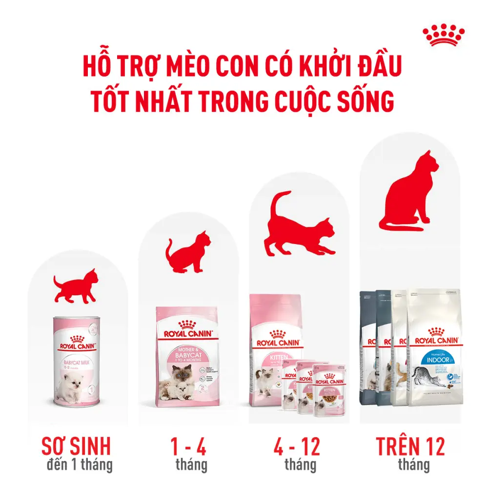 Thức Ăn Hạt Cho Mèo Con Royal Canin Kitten