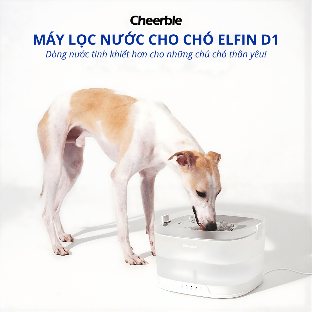 Máy lọc nước cho chó CHEERBLE D1 4L - Bơm không dây