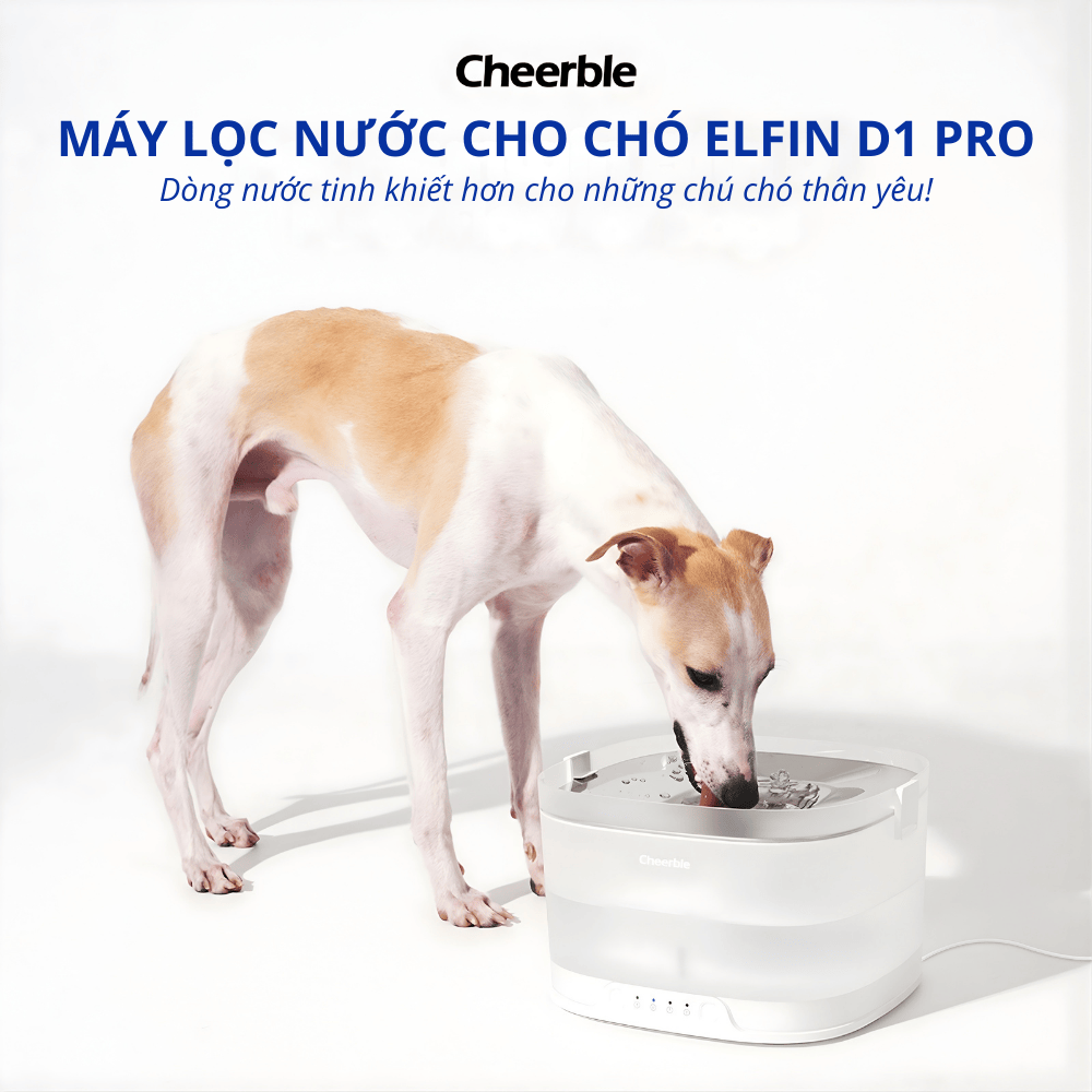 Máy lọc nước cho chó CHEERBLE D1 Pro 4L - Dùng pin sạc 5000mAh