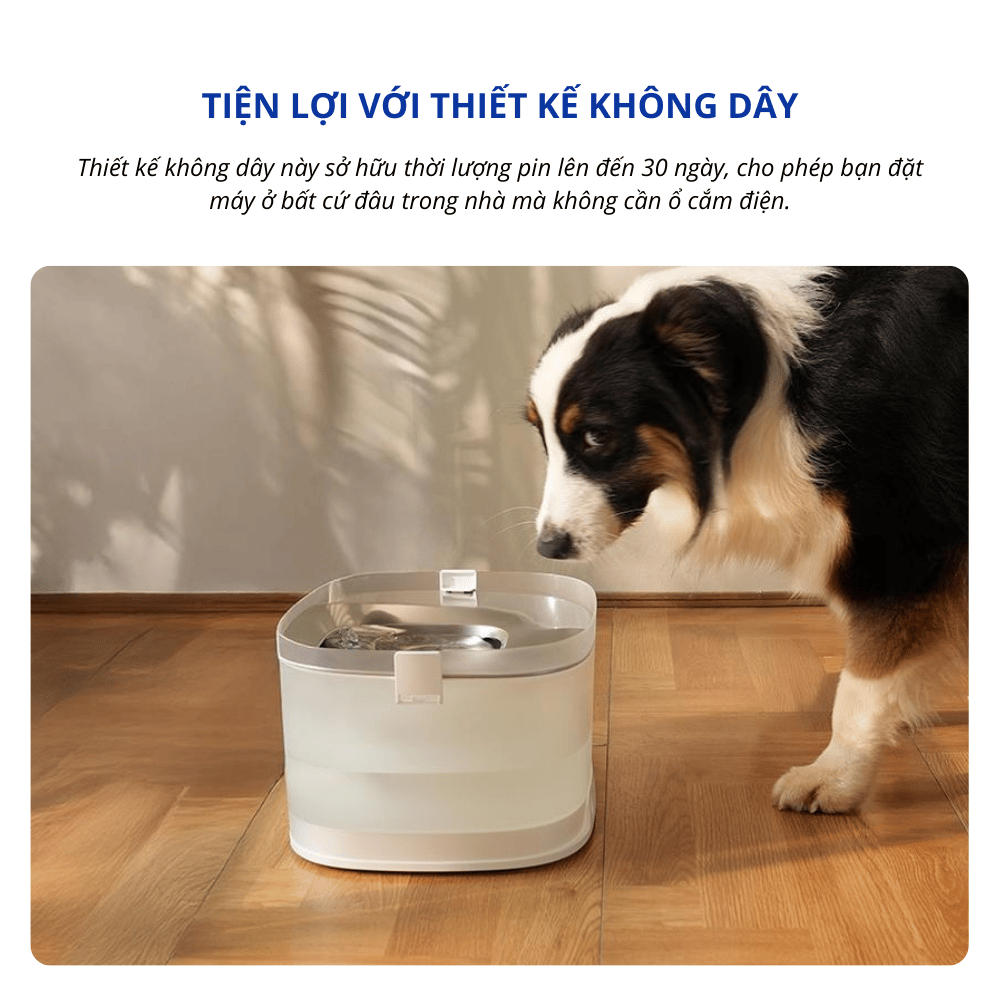 Máy lọc nước cho chó CHEERBLE D1 4L - Bơm không dây