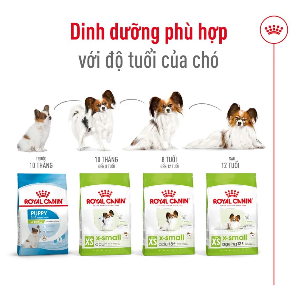 Thức Ăn Hạt Cho Chó Xsmall Adult