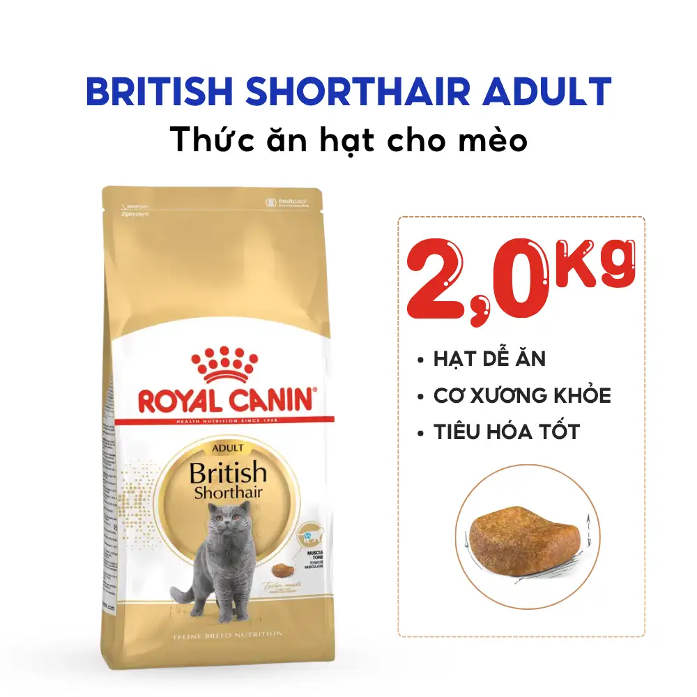 Hạt Cho Mèo Anh Lông Ngắn Trưởng Thành Royal Canin British Shorthair Adult