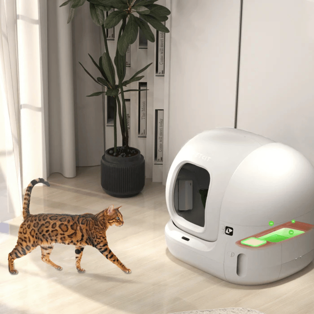 Sáp khử mùi Petkit N50 2.0