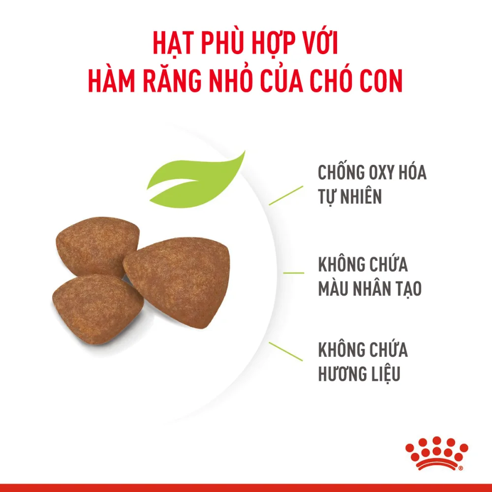 Thức Ăn Hạt Cho Chó Con Giống Nhỏ Royal Canin Mini Puppy