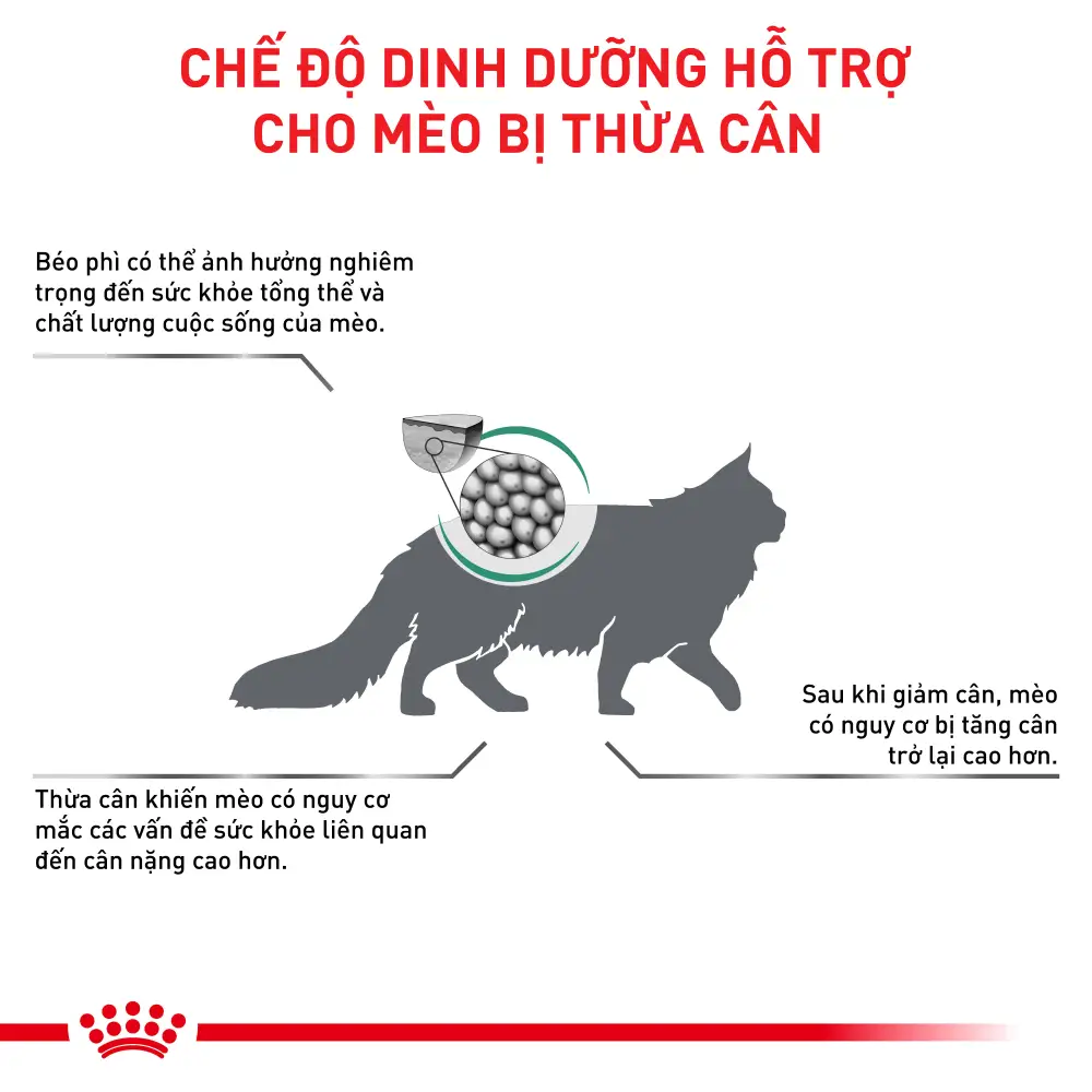 Thức ăn hạt cho mèo thừa cana Satiety Weight Management Feline
