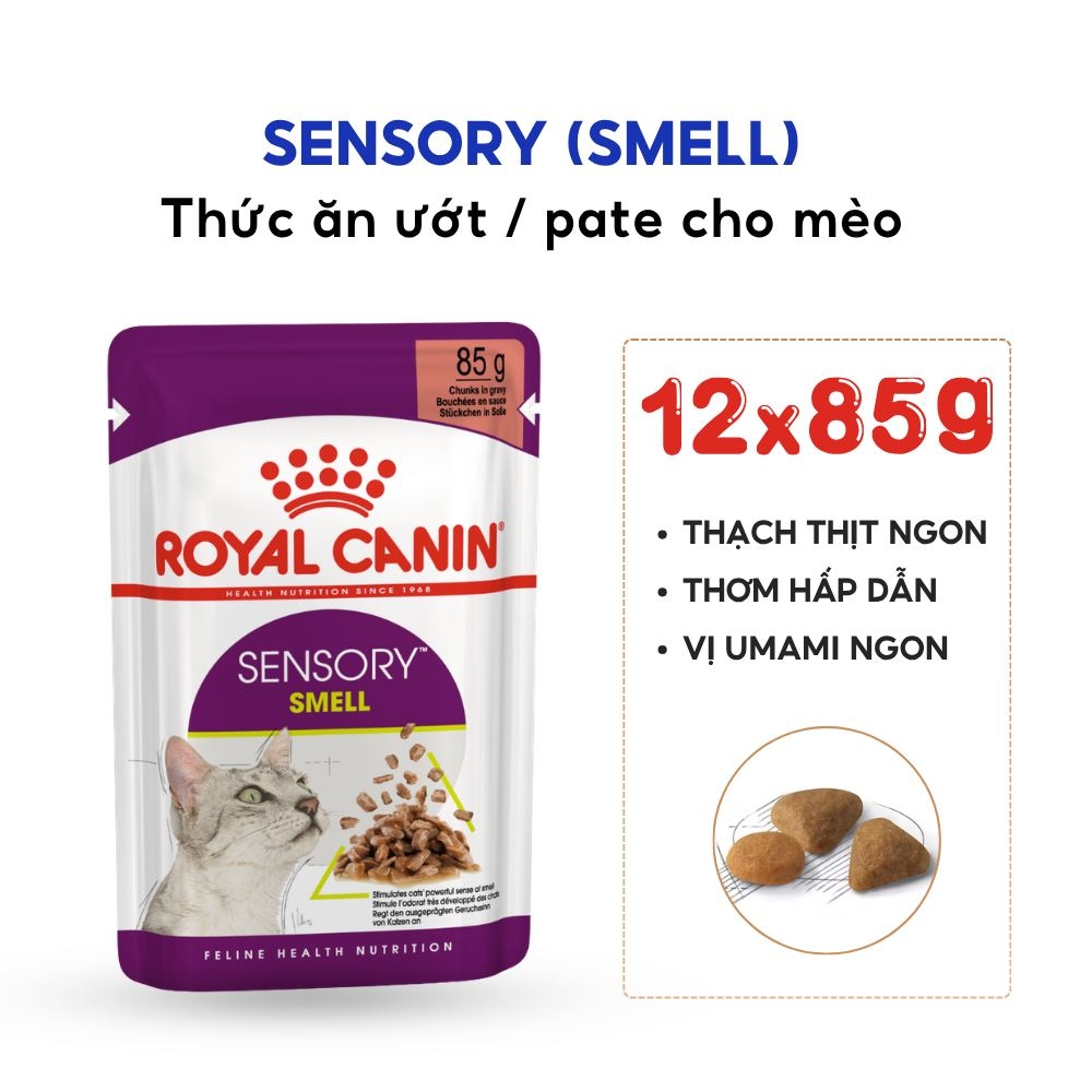 Pate Cho Mèo Kích Thích Giác Quan Royal Canin Sensory