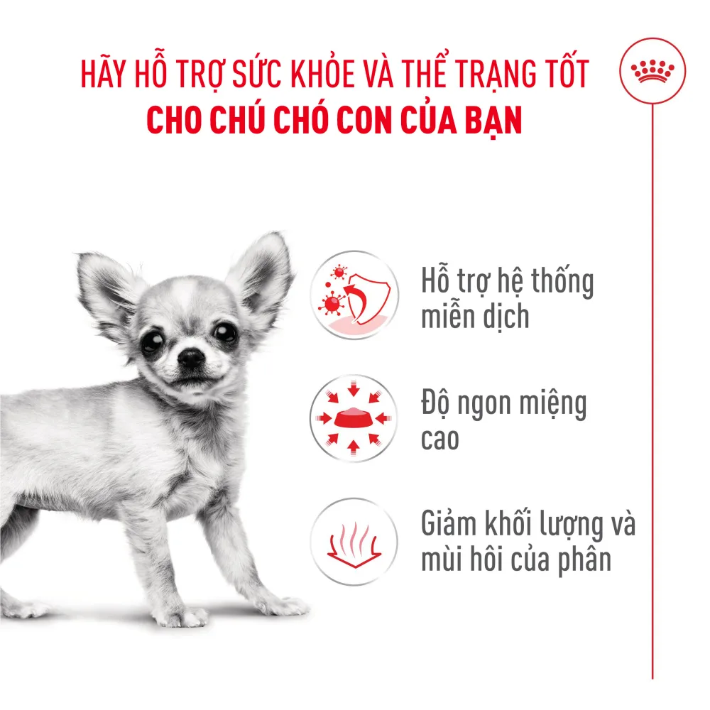 Thức Ăn Hạt Cho Chó Con Chihuahua Royal Canin Chihuahua Puppy