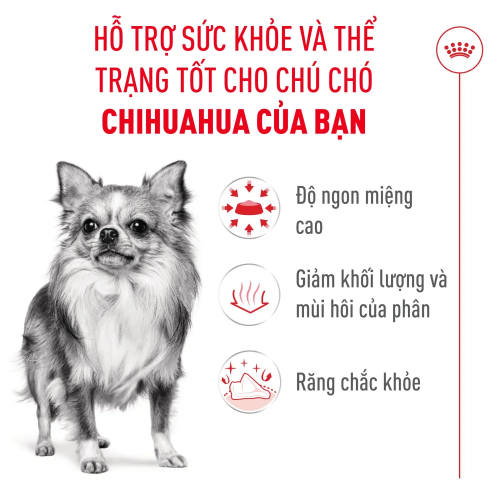 Hạt Cho Chó Chihuahua Trưởng Thành Royal Canin Chihuahua Adult