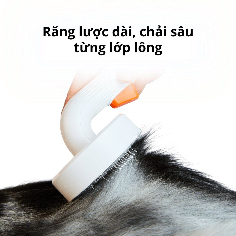 Lược chải lông chó mèo Petkit Pro
