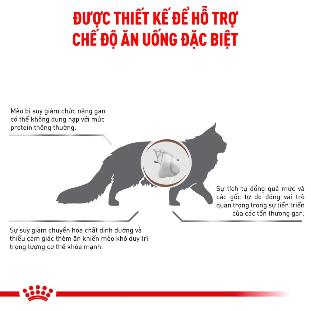 Thức Ăn Hạt Cho Mèo Hỗ Trợ Gan Royal Canin Hepatic