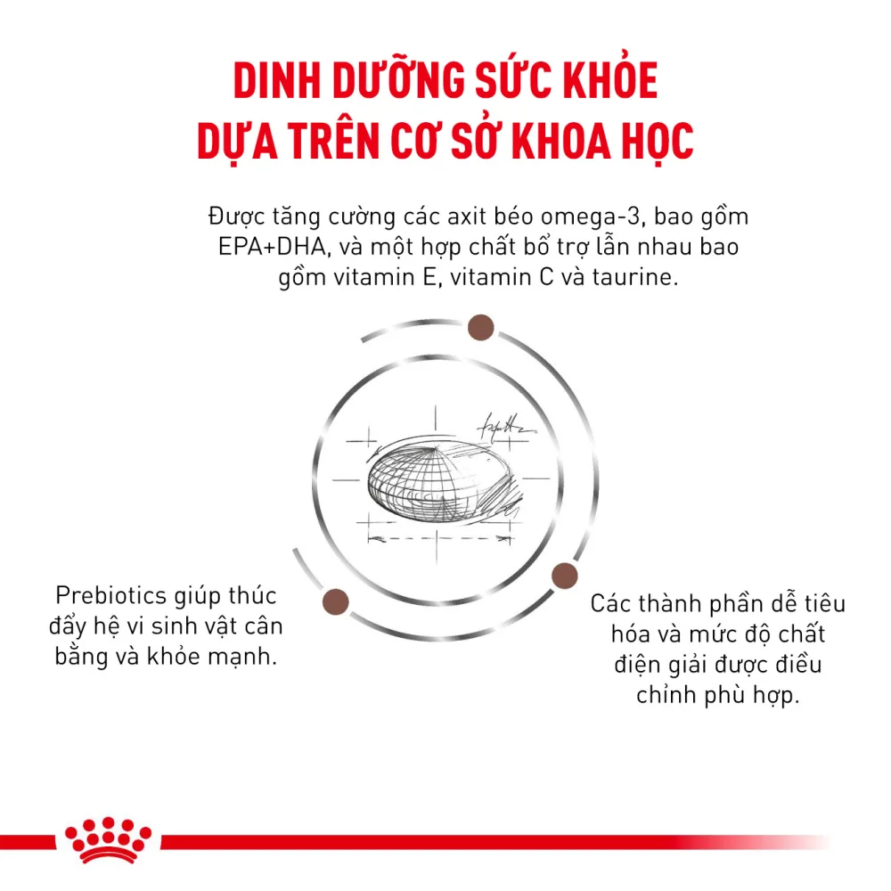 Thức Ăn Hạt Hỗ Trợ Tiêu Hóa Cho Chó Royal Canin Gastrointestinal