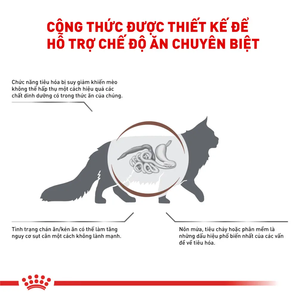 Thức Ăn Hạt Cho Mèo Hỗ Trợ Tiêu Hóa Royal Canin Gastrointestinal
