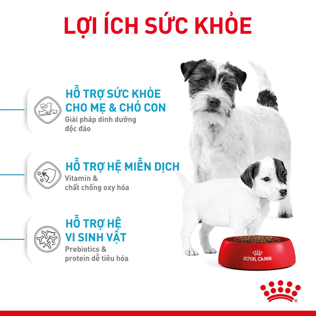 Thức Ăn Hạt Cho Chó Mini Starter Mother&Babydog