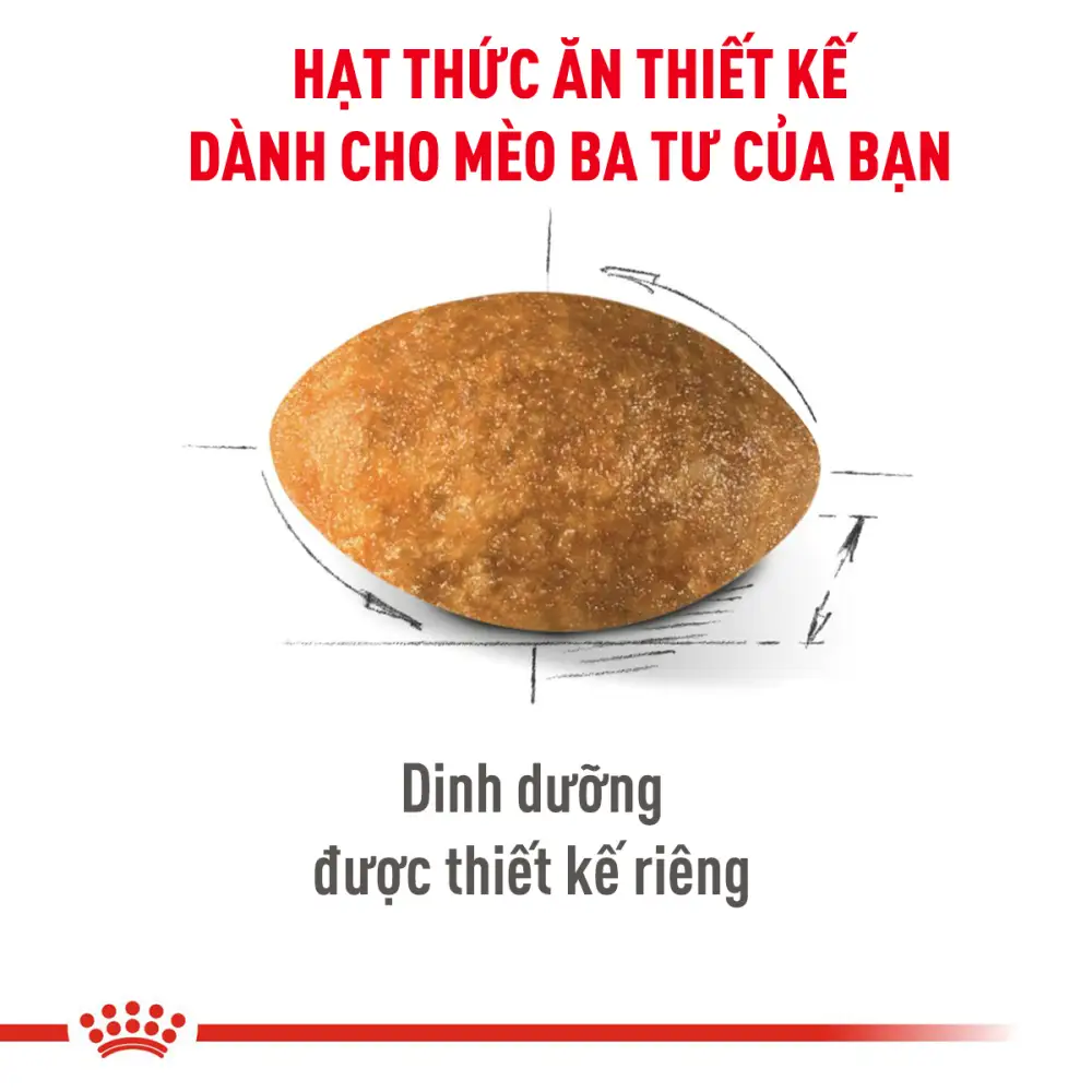 Hạt Cho Mèo Ba Tư Trưởng Thành Royal Canin Persian Adult