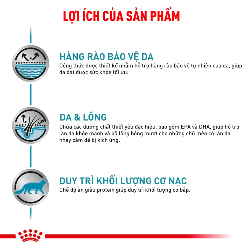 Thức Ăn Hạt Cho Mèo Hỗ Trợ Da & Lông Royal Canin Skin & Coat
