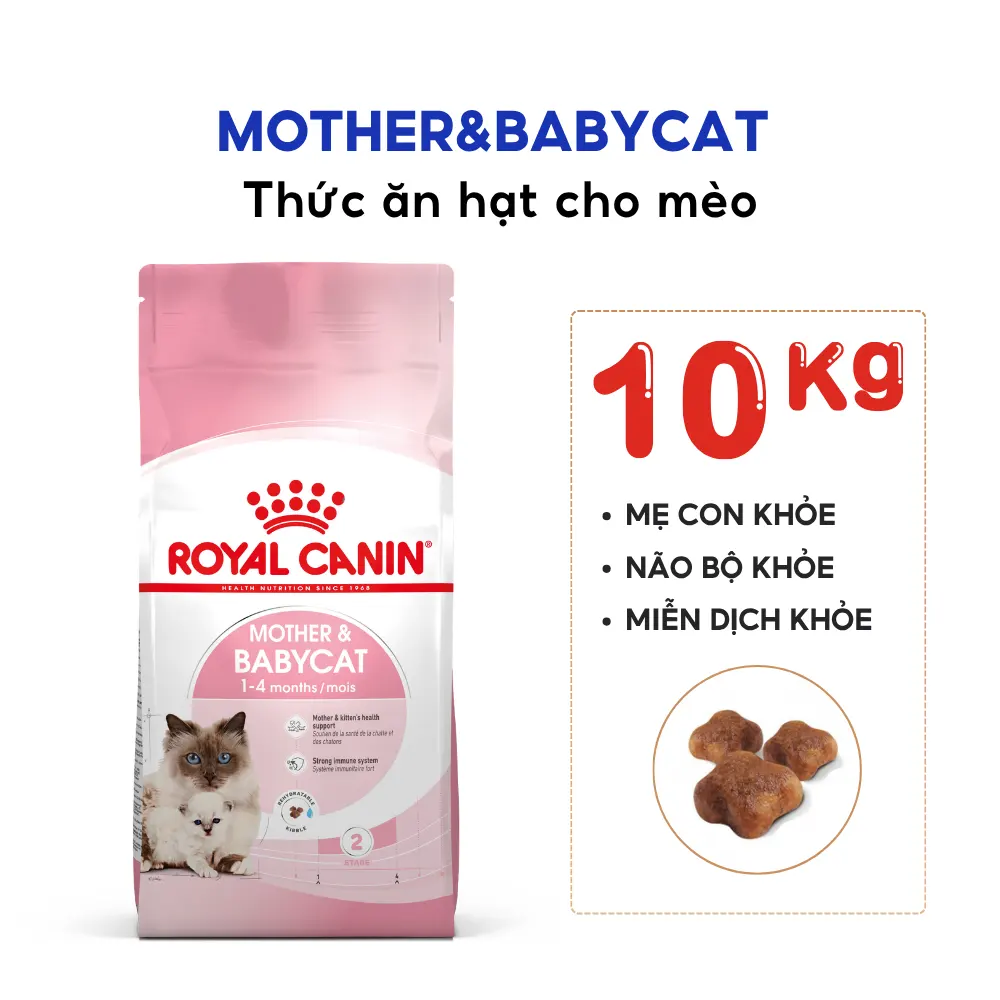 Thức Ăn Hạt Cho Mèo Mẹ & Mèo Con Royal Canin Mother & Babycat