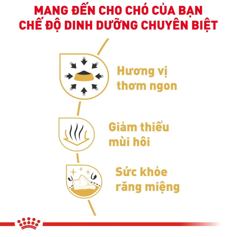 Hạt Cho Chó Chihuahua Trưởng Thành Royal Canin Chihuahua Adult
