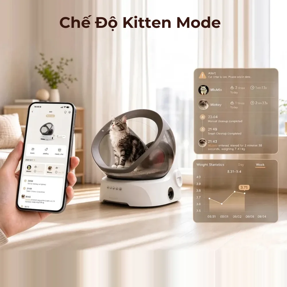 Máy dọn phân mèo Neakasa M9