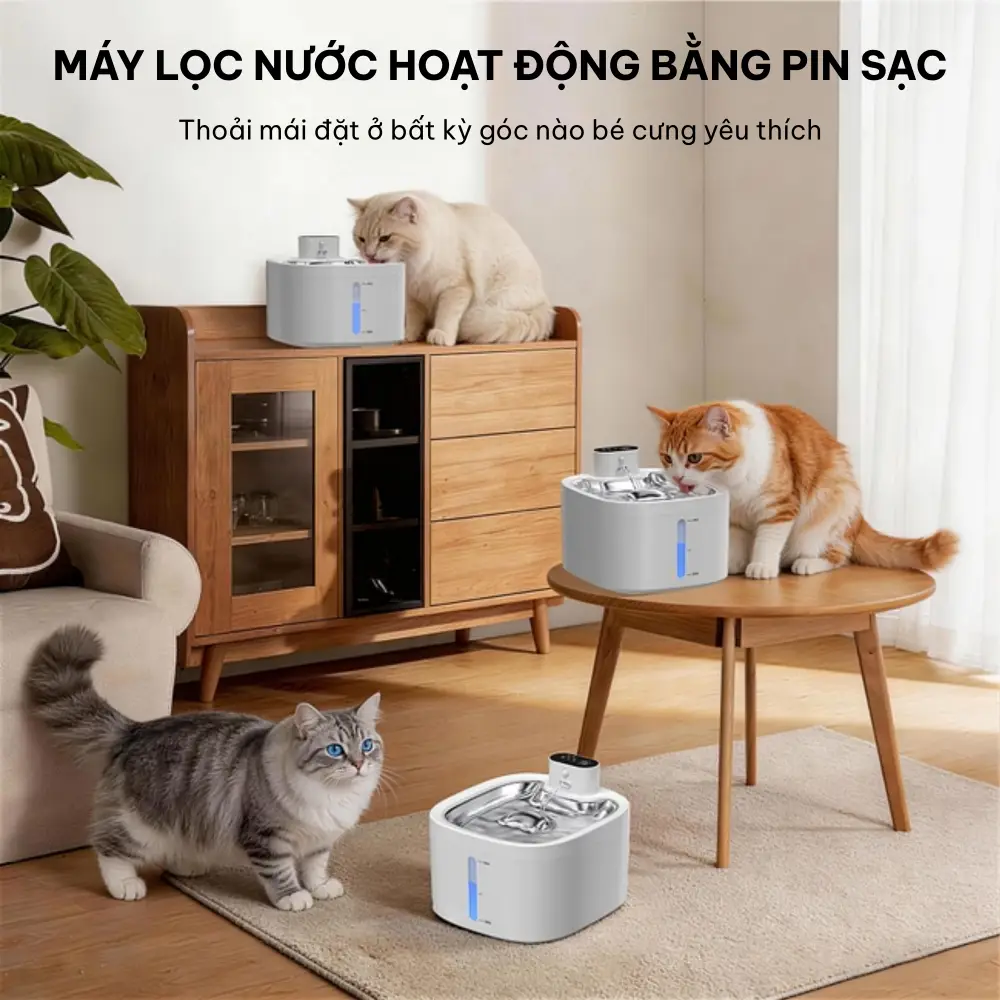 Máy lọc nước cho chó mèo HELIPET Pure 7 (P7)