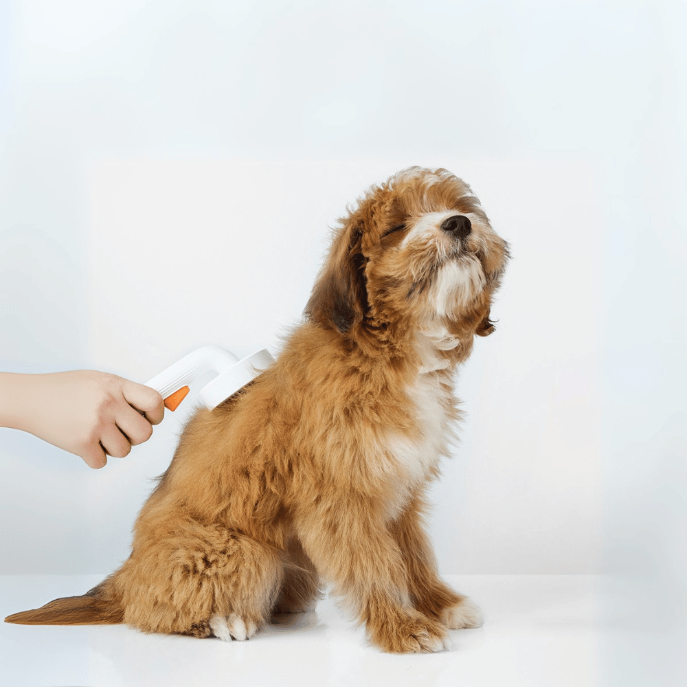 Lược chải lông chó mèo Petkit Pro