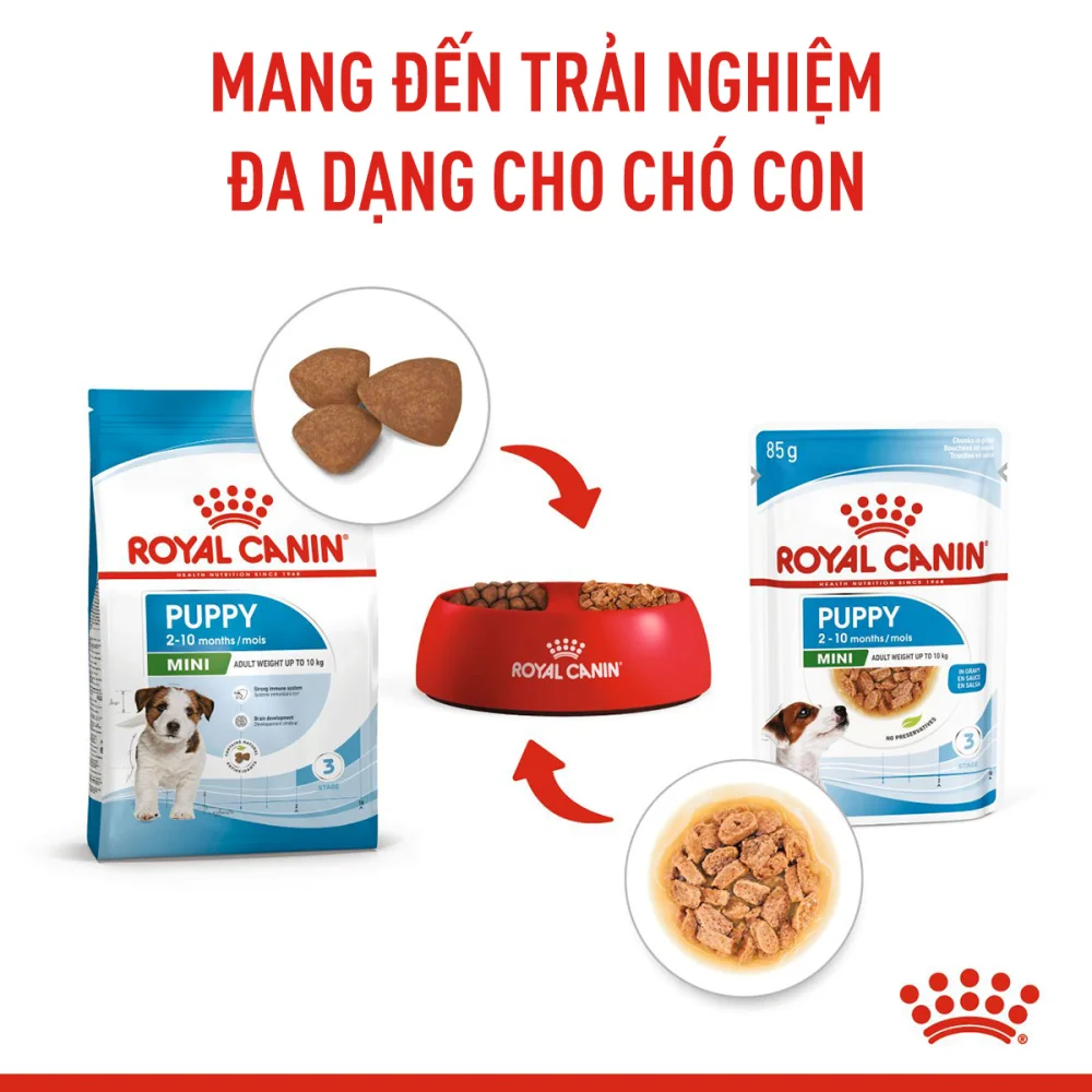 Pate Cho Chó Con Giống Nhỏ Royal Canin Mini Puppy