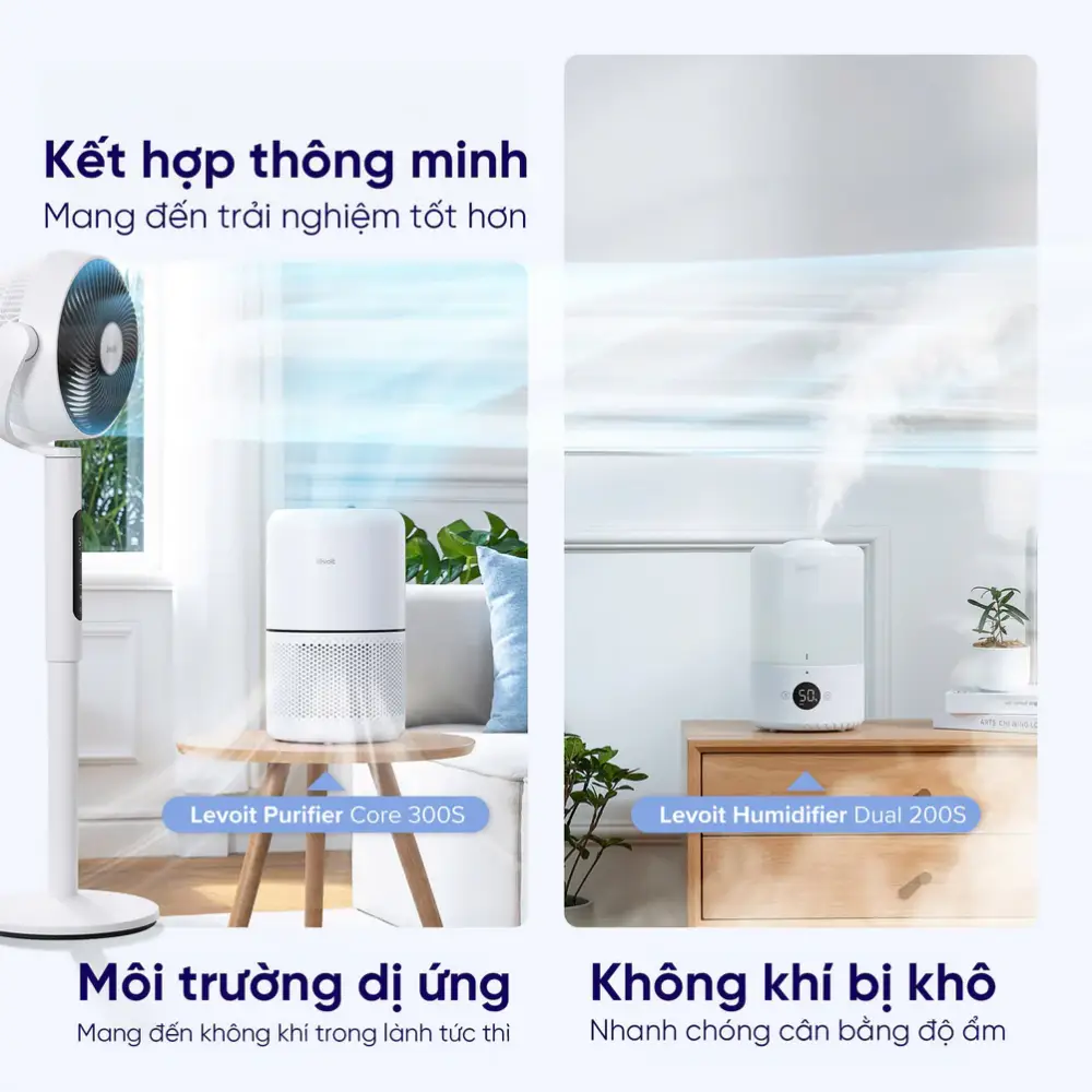 Quạt tuần hoàn không khí Levoit CirculAir