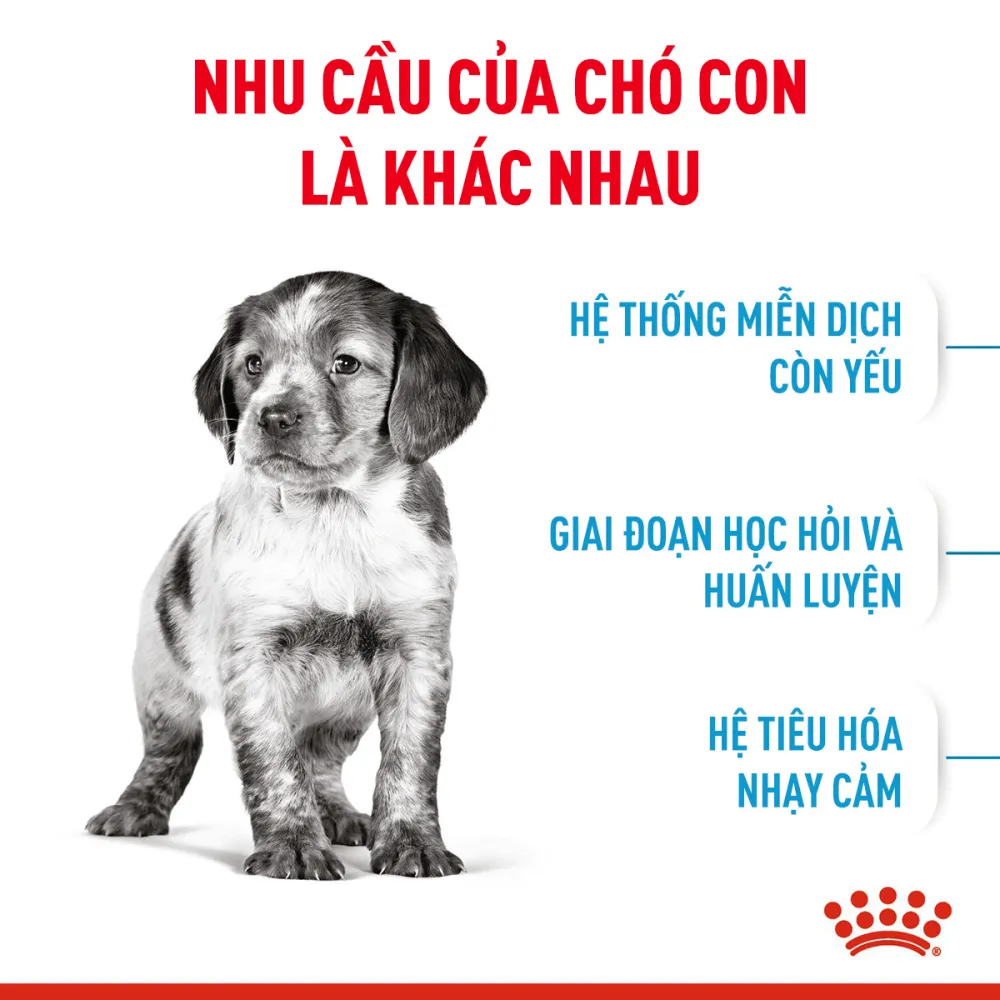 Thức Ăn Hạt Cho Chó Medium Puppy