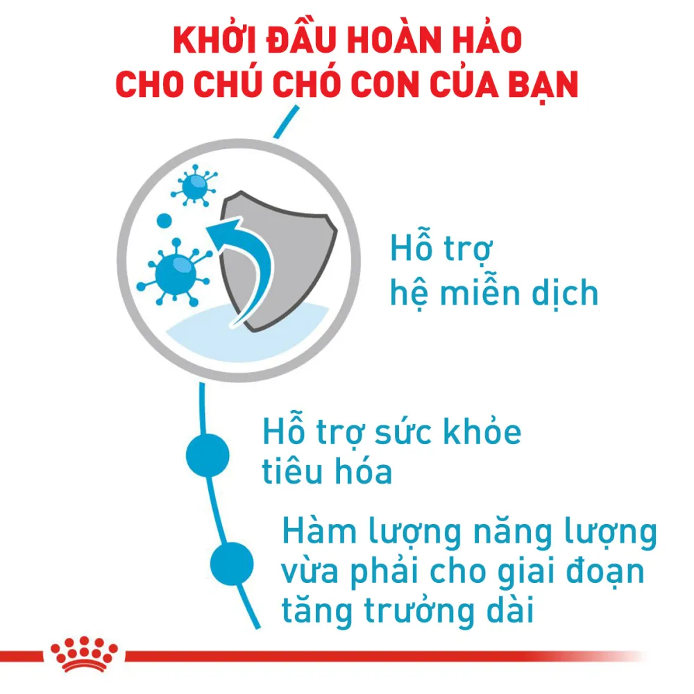 Thức Ăn Hạt Cho Chó Maxi Puppy