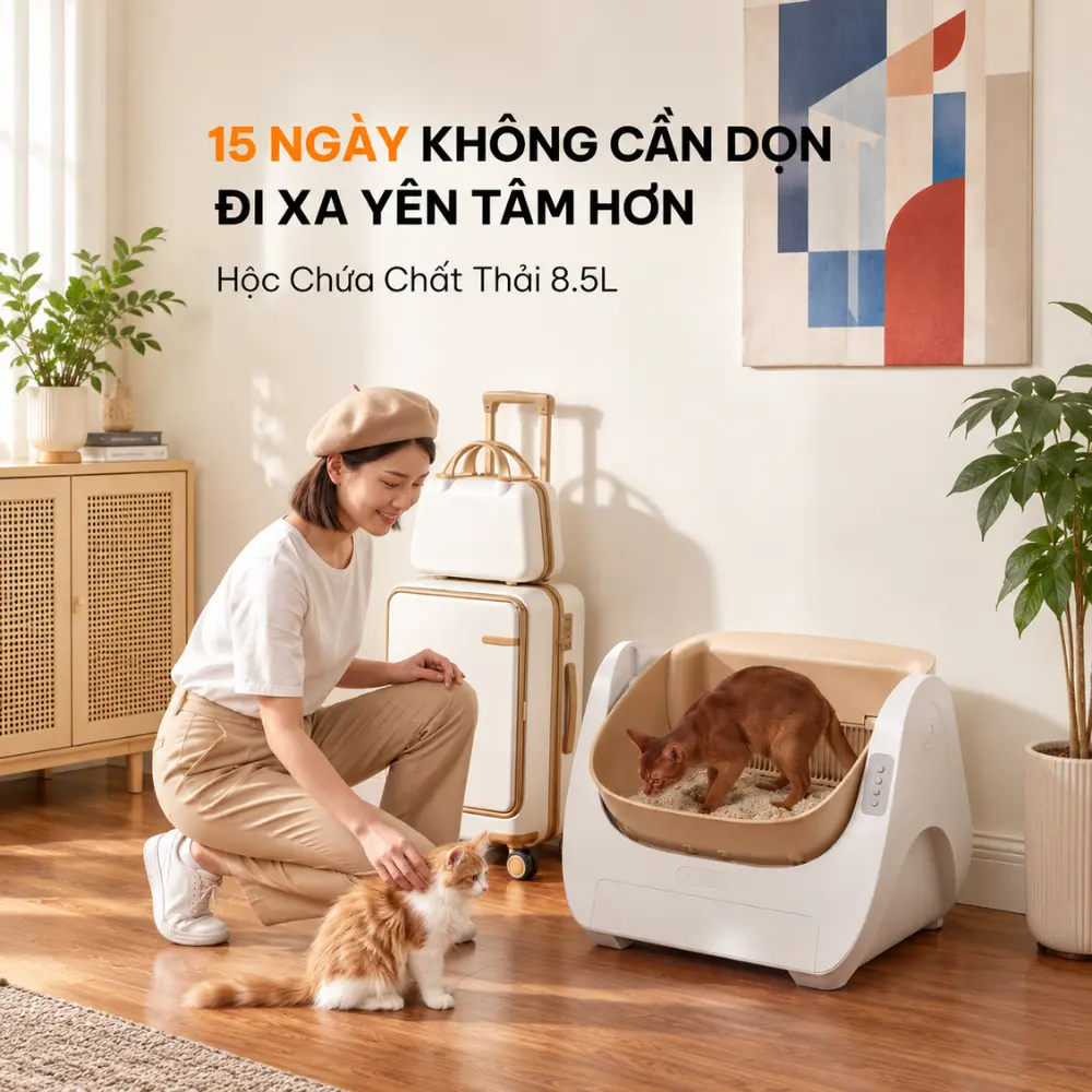 Máy dọn vệ sinh mèo tự động HELIPET Open Top Basic