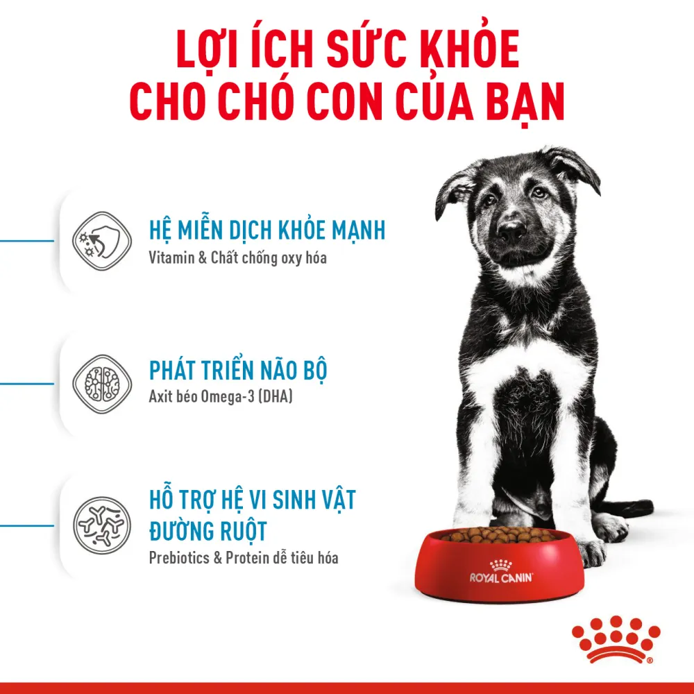 Thức Ăn Hạt Cho Chó Maxi Puppy