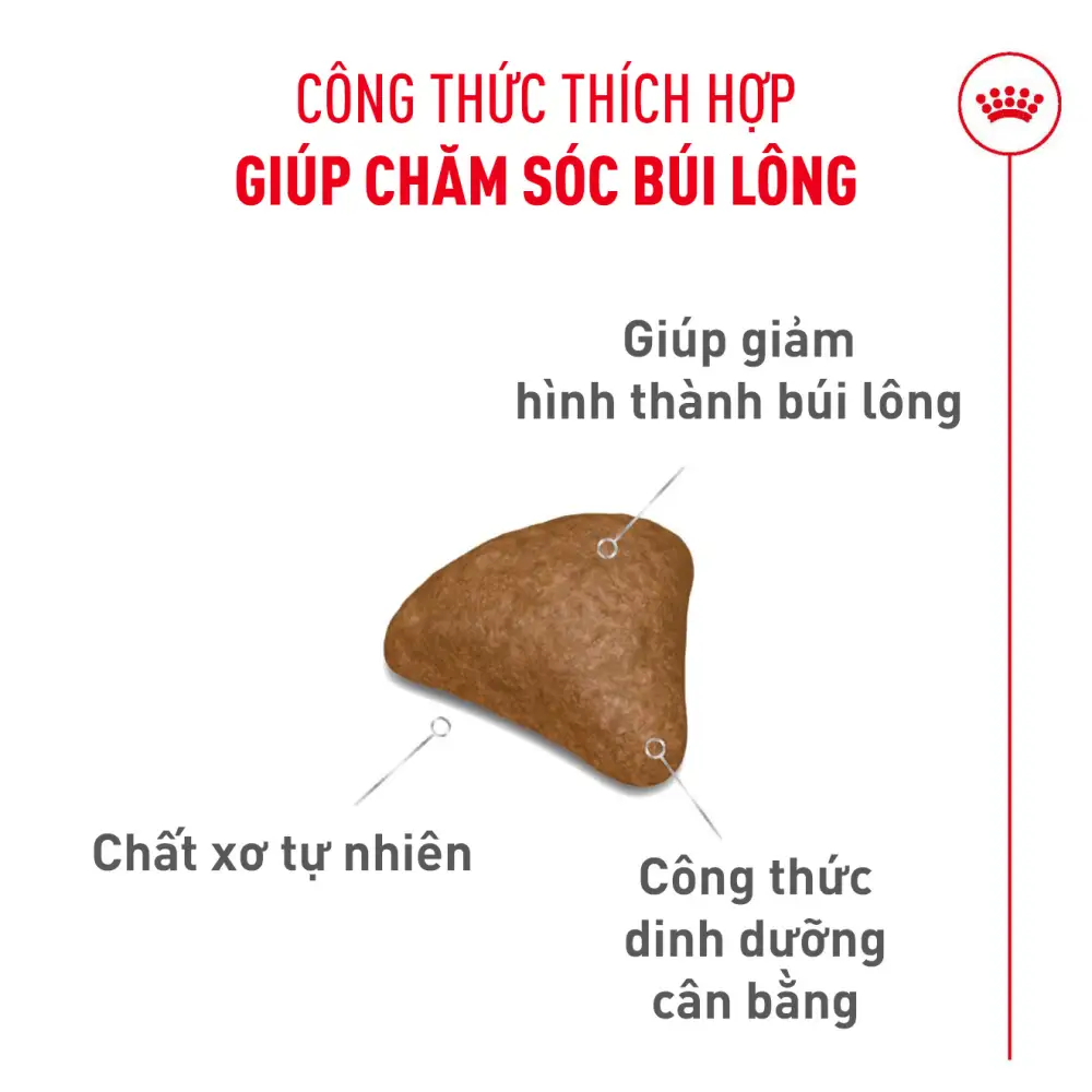 Thức Ăn Hạt Cho Mèo Tiêu Búi Lông Royal Canin Hairball