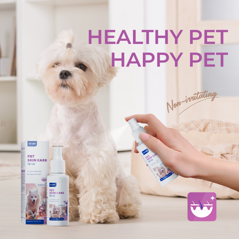 Xịt Chăm Sóc Da Cho Chó Mèo DrVET