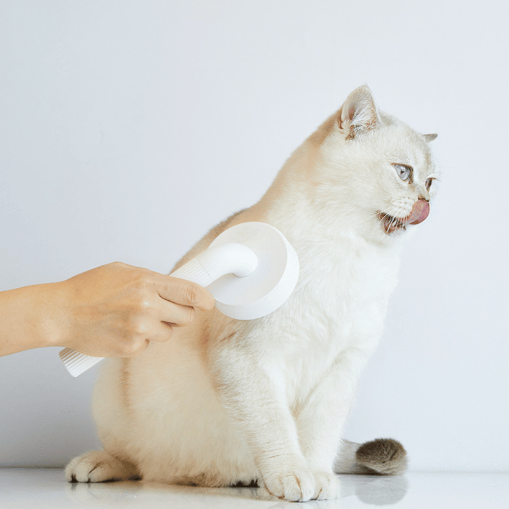 Lược chải lông chó mèo Petkit Pro