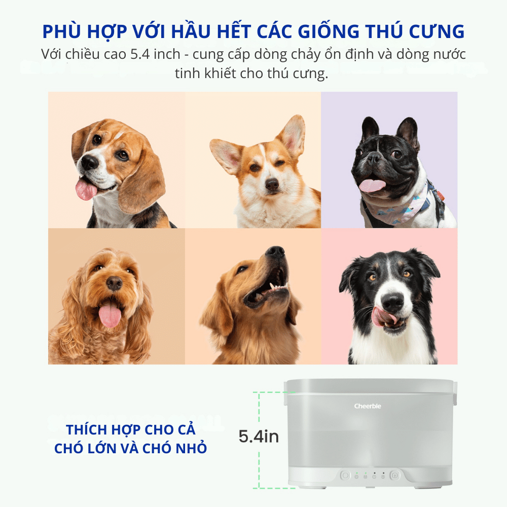 Máy lọc nước cho chó CHEERBLE D1 4L - Bơm không dây