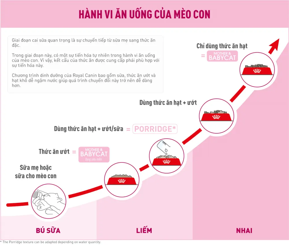 Thức Ăn Hạt Cho Mèo Mẹ & Mèo Con Royal Canin Mother & Babycat