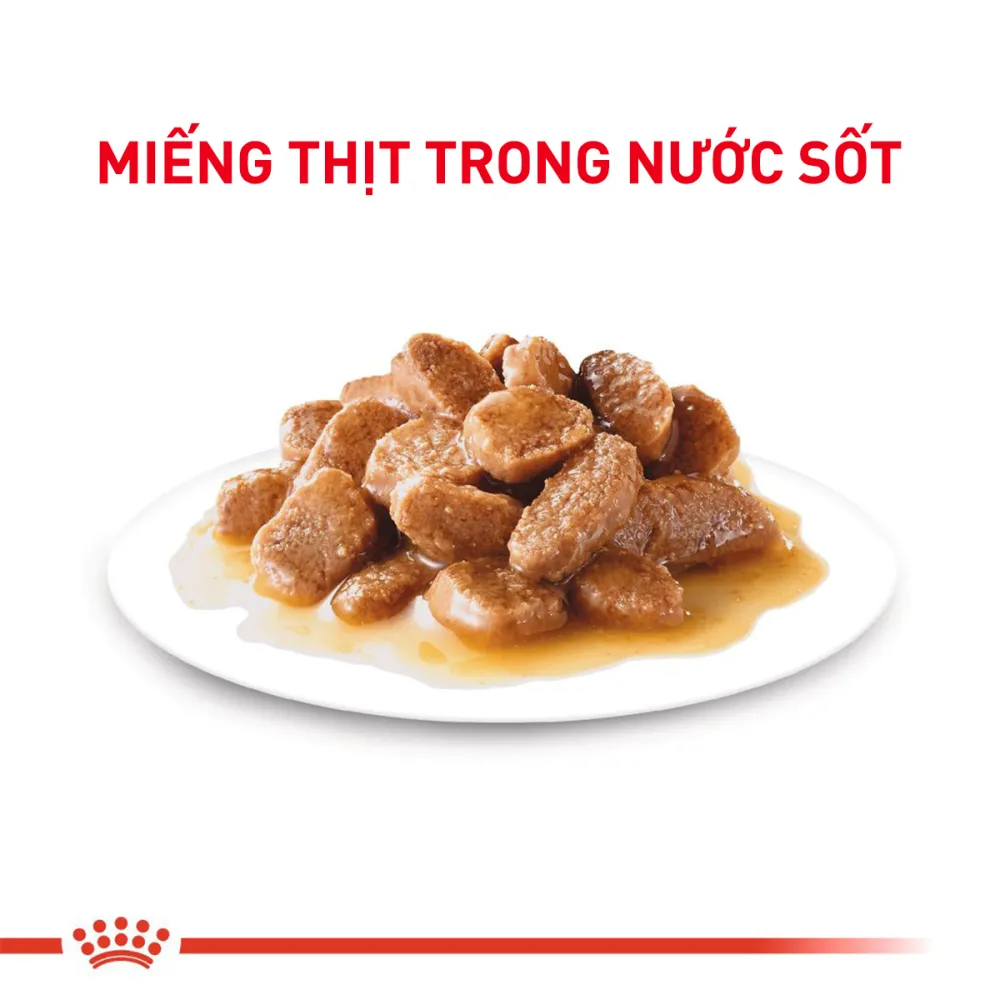 Pate Cho Chó Mini Adult
