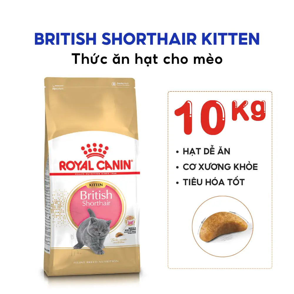 Hạt Cho Mèo Anh Lông Ngắn Con Royal Canin British Shorthair Kitten