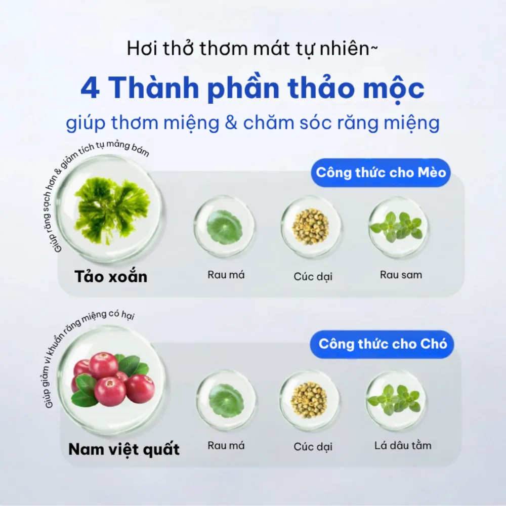 Snack chăm sóc răng miệng cho chó Dr.Vet