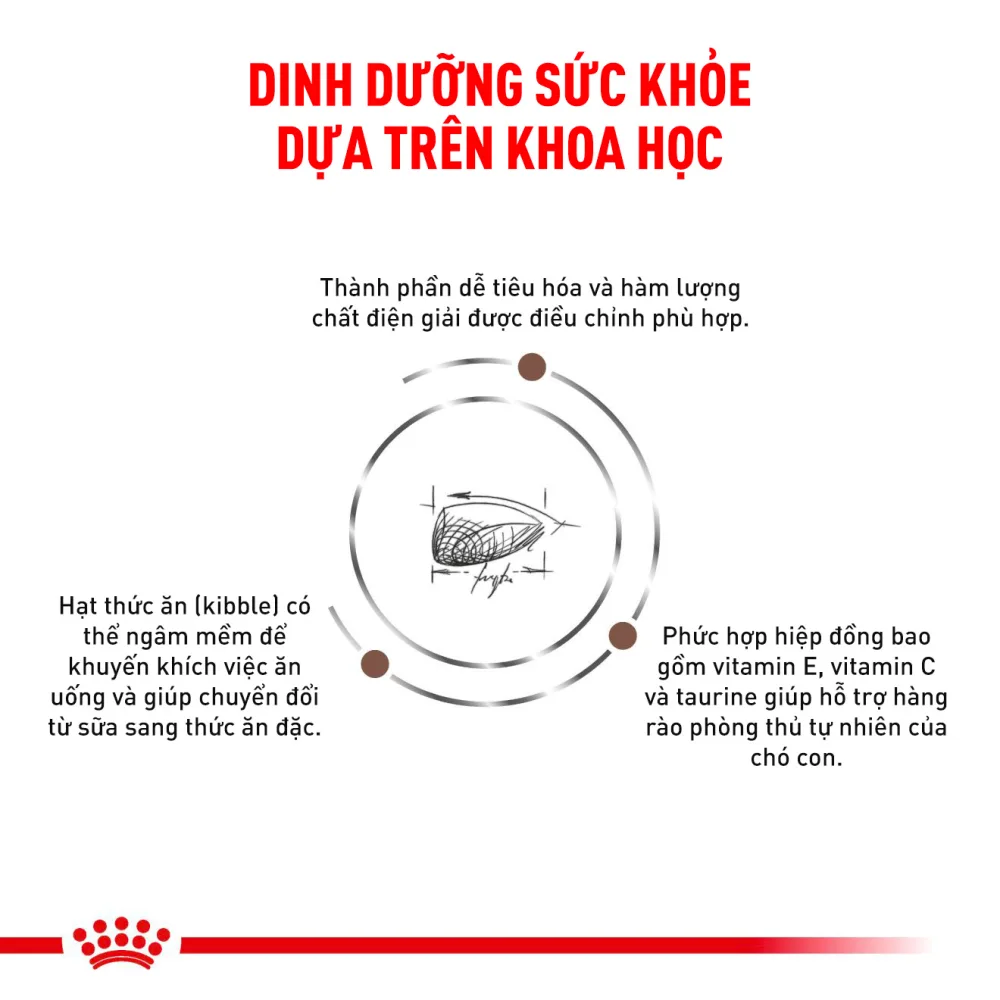 Thức Ăn Hạt Hỗ Trợ Tiêu Hóa Cho Chó Con Royal Canin Gastrointestinal Puppy