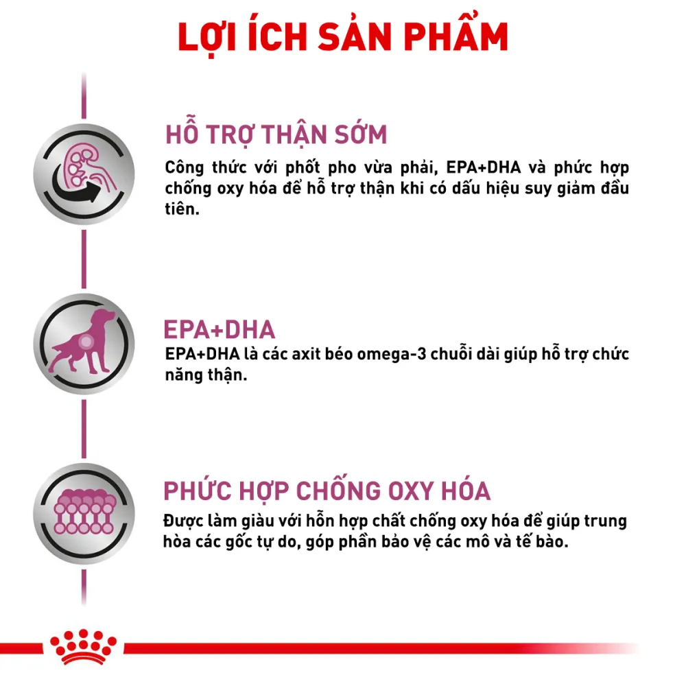 Thức Ăn Hạt Cho Chó Suy Thận Royal Canin Renal