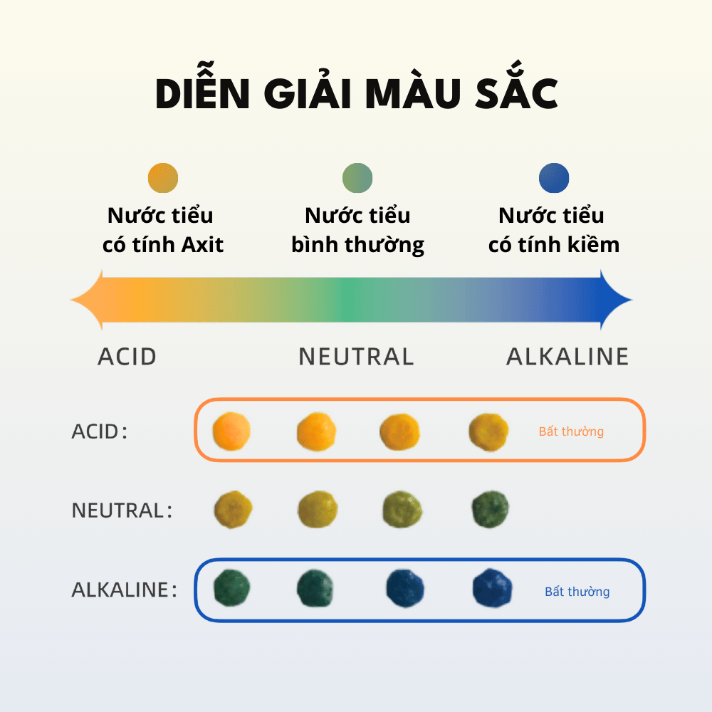 Cát Vệ Sinh Cho Mèo PETKIT Giúp Theo Dõi Nước Tiểu