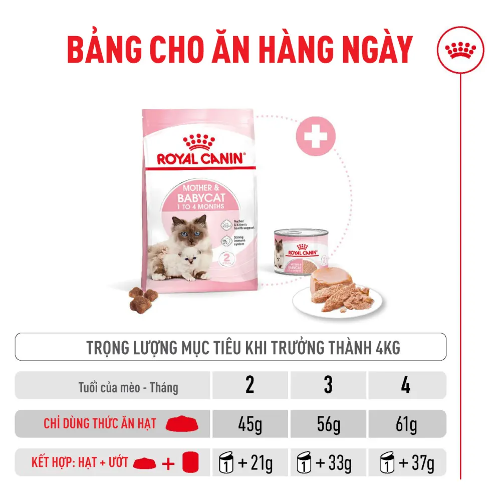 Thức Ăn Hạt Cho Mèo Mẹ & Mèo Con Royal Canin Mother & Babycat