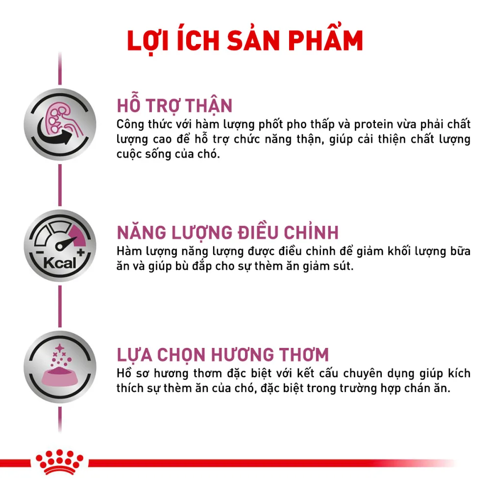 Pate Cho Chó Renal 410g